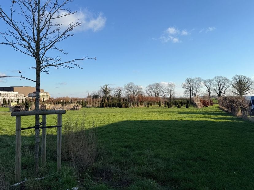 In het landelijke Schakkebroek, deelgemeente van Herk-de-Stad, vinden we deze mooie bouwgrond voor een open bebouwing terug.<br />
De bouwbreedte bedr