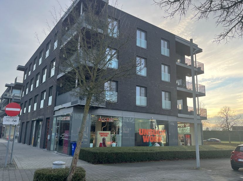 Ligging / Omgeving<br />
Handelspand gelegen te Kapittelhof 2, 3920 Lommel. Dit pand is gelegen vlak bij het Hertog Janplein, Huis van de Stad.<br />