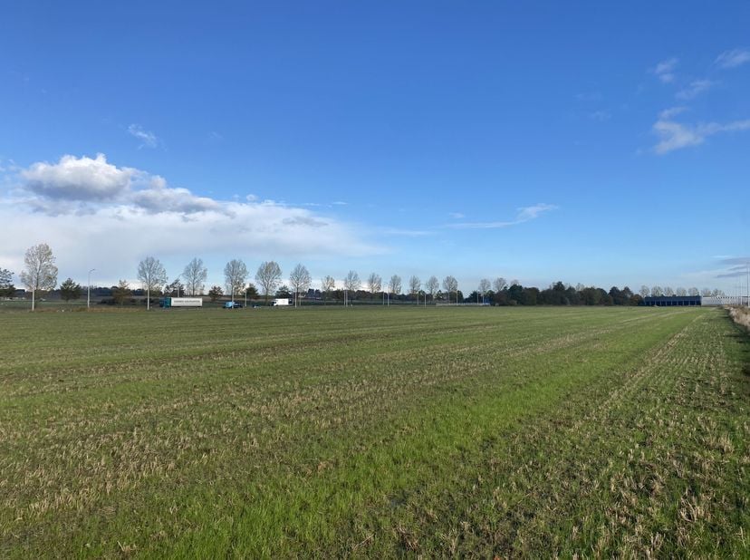Percelen industriegrond te koop vanaf 5.000m² tot 9 ha met schitterende zichtbaarheid gelegen langs de Rijksweg te Hooglede-Roeselare met vlotte ontsl