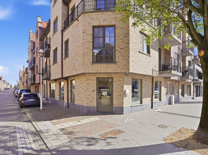 Instapklaar en hoogwaardig handelspand (122 m²) op topligging in Nieuwpoort Stad<br />
<br />
Momenteel huisvest dit moderne handelspand het gekende b