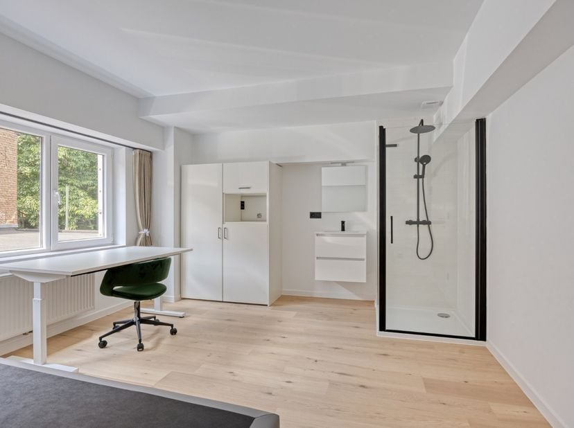 Kot-kamer te koop in Schapenstraat 66 - b bus 0106,
                    3000 Leuven