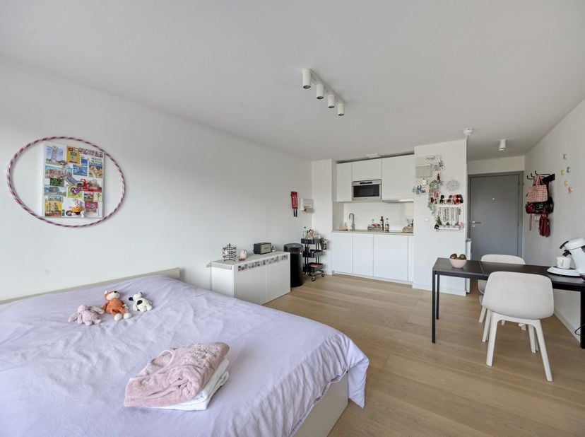 Ce studio rénové à Louvain est situé en plein centre-ville et bénéficie d’une vue agréable sur le parc verdoyant de la Dyle. Avec une surface habitabl