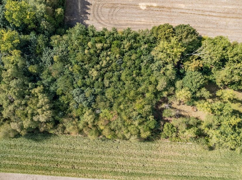 Bent u op zoek naar een stukje pure natuur in eigen land? Deze uitgestrekte bosgrond van 4.690 m² biedt u een zeldzame kans om eigenaar te worden van