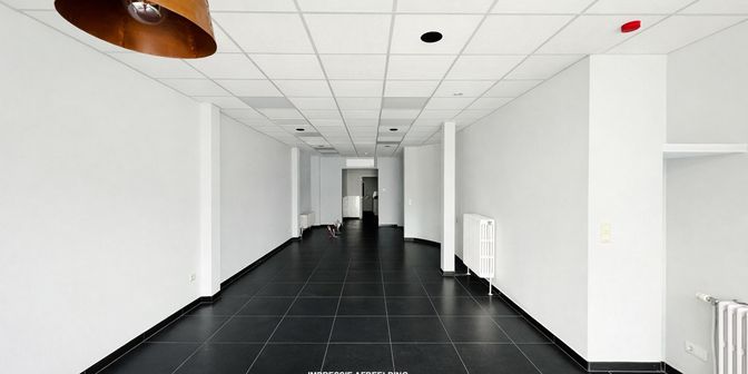 Bien professionnel à vendre à Louis de Naeyerplein 4, 2830 Willebroek