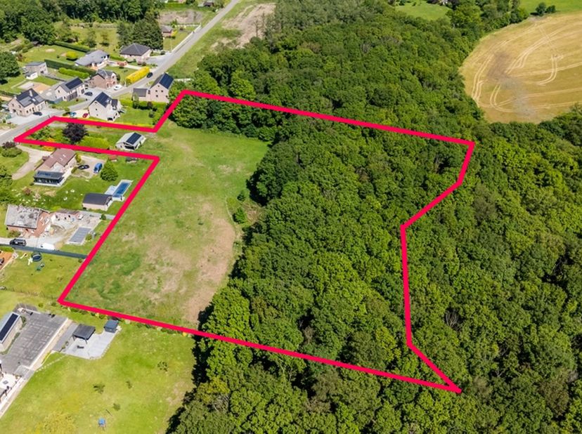 EASYHOME biedt u dit prachtige terrein aan, gelegen in de gegeerde gemeente Floreffe, met enorm veel potentieel en een uitzonderlijke natuurlijke omge