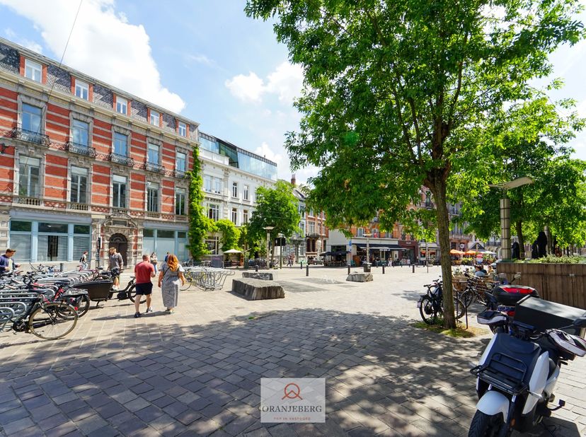 Bien professionnel à louer à François Laurentplein 1,
                    9000 Gent