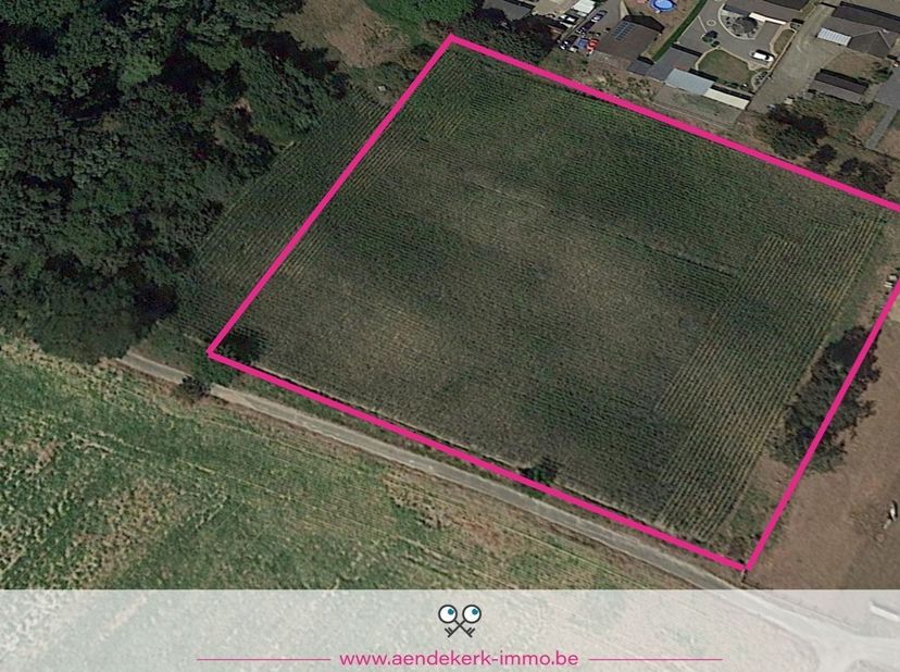 Terrain à vendre
                    à 3650 Rotem