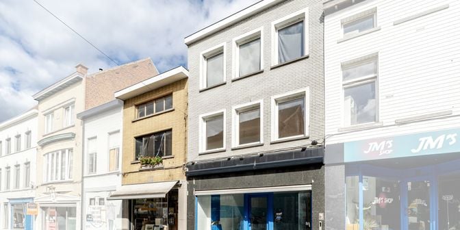 Bien professionnel à vendre à Wijnstraat 9/11, 9600 Renaix