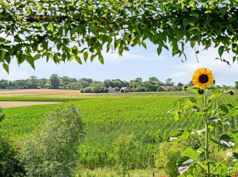 Te koop: unieke eigendom met B&amp;B en privéwoning op topligging in Mater<br />
Op een uitzonderlijk rustige en groene ligging in Mater bevindt zich deze