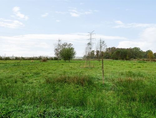                                         Weide te koop in Kontich, € 129.000
