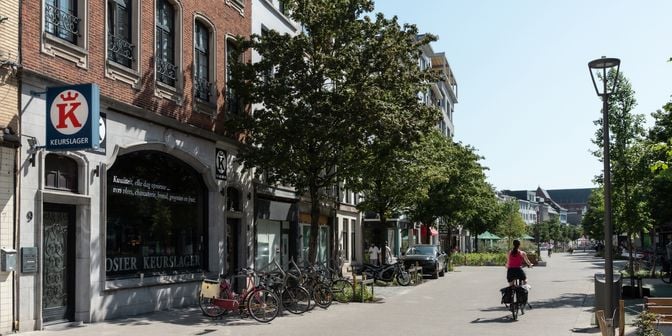 Bedrijfsvastgoed te koop in Paardenmarkt 9, 2000 Antwerpen