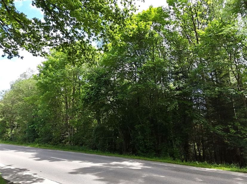 Terrain d'une contenance de 42 a 70 ca (4270 m²) situé majoritairement en zone d'habitat.<br />
Il présente une façade à rue d'environ 85 mètres.<br /