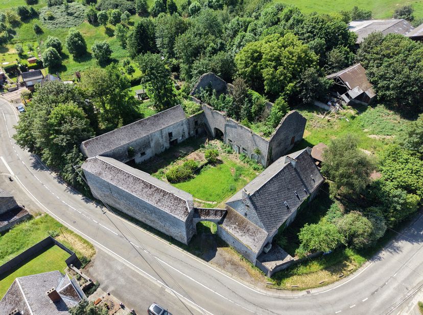 A découvrir dans le centre du village de Braibant, cette authentique ferme de caractère en carré datant du milieu du 18ème siècle avec divers dépendan