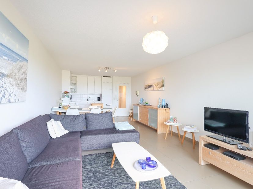 Dit verzorgde appartement in de residentie Plaza I, bevindt zich vlak aan de duinen en de zee en werd als volgt ingedeeld:<br />
<br />
Woonkamer met