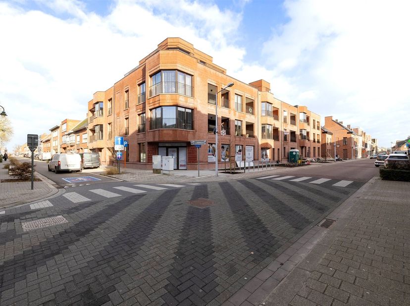 Bedrijfsvastgoed te koop
                    in 2270 Herenthout