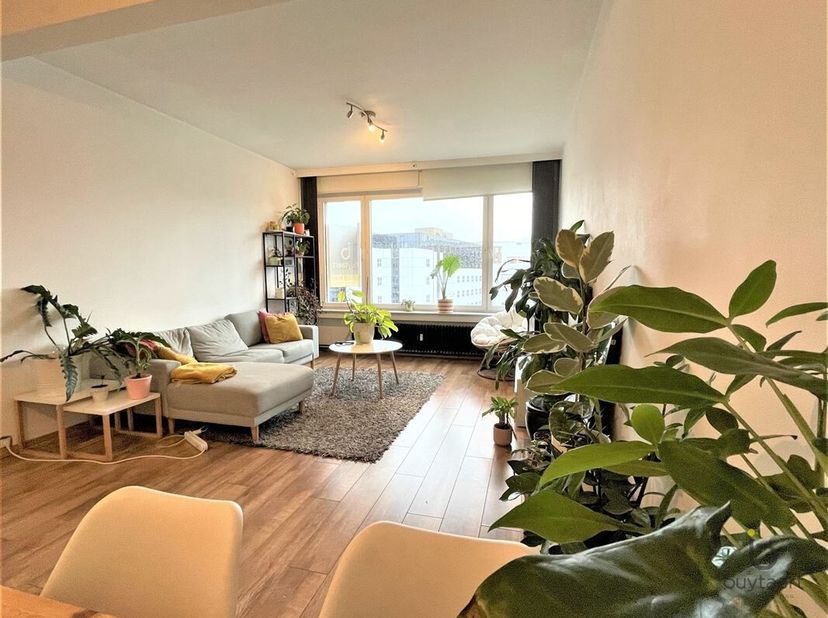 Appartement à louer
                    à 2000 Antwerpen