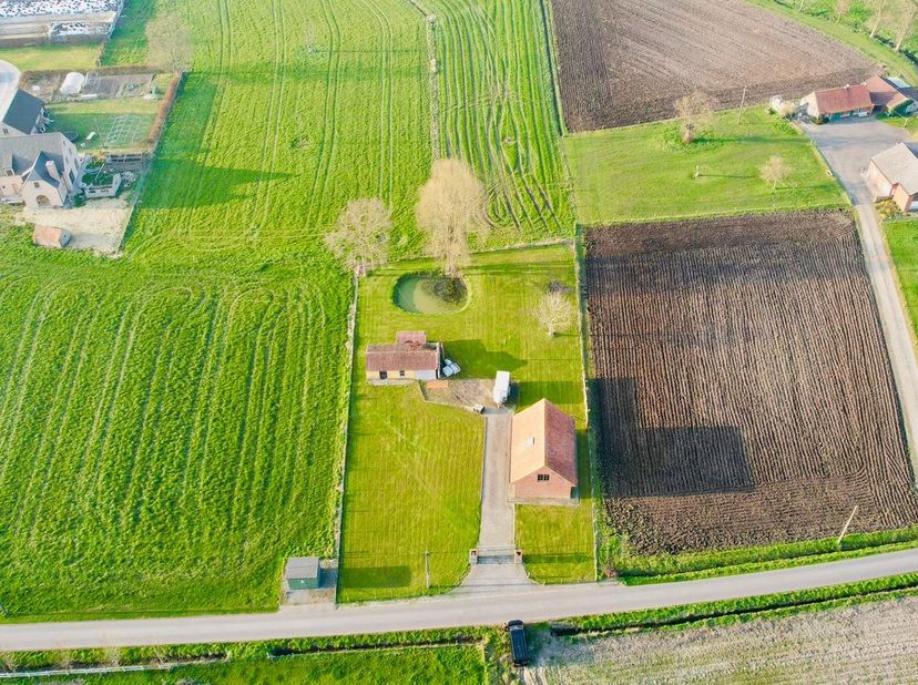 In een rustige, landelijke omgeving van Ruddervoorde (Oostkamp), bieden wij een ruim perceel aan met een oppervlakte van +/- 2.105 m². Deze geniet een