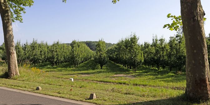 Grond te koop in Mombeekdreef, 3500 Hasselt