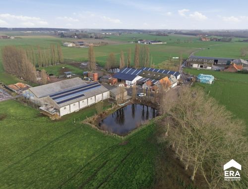                             Hoeve te koop in Poperinge
