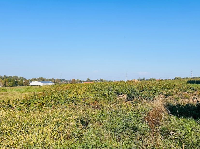 Terrain à vendre à Pladijsstraat 217,
                    8540 Deerlijk