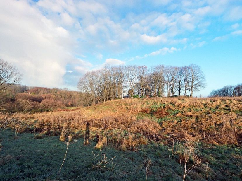 Perceel landbouwgrond met een totale oppervlakte van 86a 30ca te Tielt-Winge. Het perceel is gelegen in landschappelijk waardevol agrarisch gebied. He