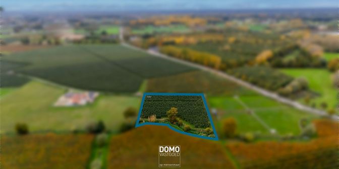 Grond te koop in Stevoortweg, 3540 Herk-de-Stad