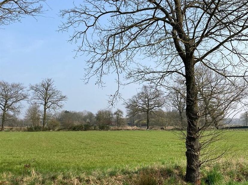 Terrain à vendre
                    à 2491 Olmen