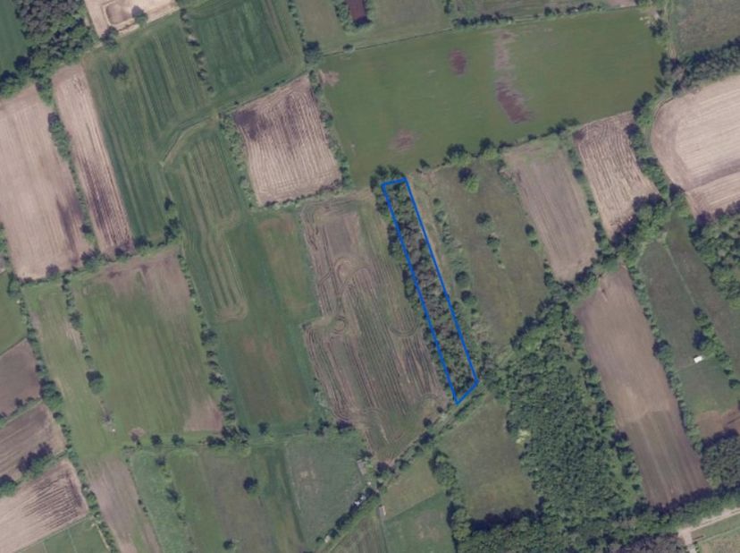 Grond te koop in Hulsen zn,
                    2490 Balen