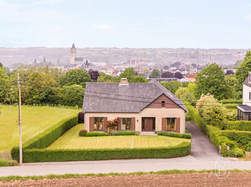 Topgelegen, met een prachtig zicht; grote degelijke villa met veel potentieel. <br />
Op een rustige en groene ligging in Oudenaarde bevindt zich dez