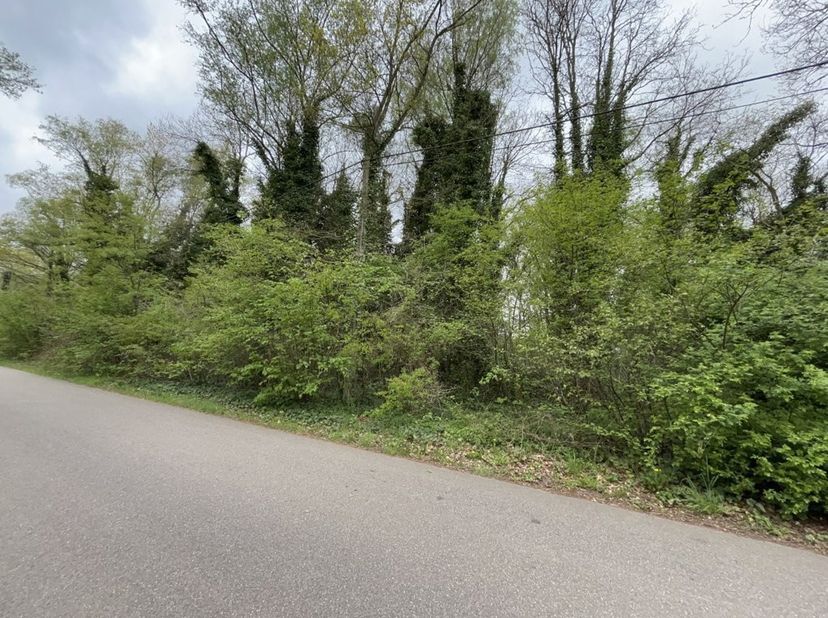 Ruime bouwgrond in een rustige en bosrijke omgeving te Mol<br />
Rustig gelegen bouwgrond van 1472 m² in een groene, bosrijke omgeving te Mol. Dit per