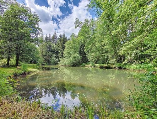                                         Bos te koop in Mussy-la-Ville, € 149.000
