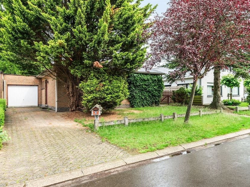 In de Berkendreef 20 in Bouwel bevindt zich deze volledig te renoveren woning met veel potentieel voor wie op zoek is naar een renovatieproject op een