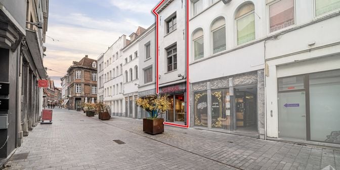 Bien professionnel à vendre à Rue du Puits Wagnon 5, 7500 Tournai