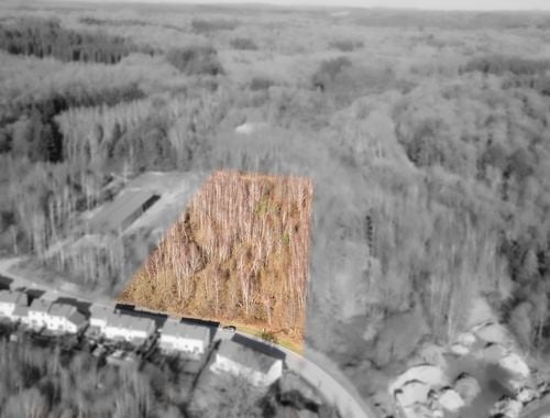                                         Bois à vendre à Saint-Léger, € 60.000
