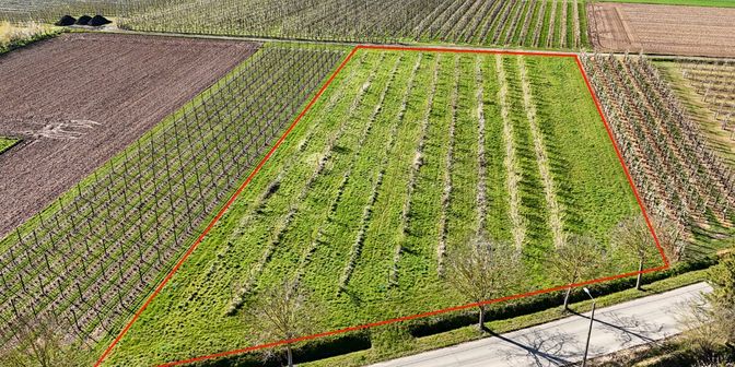 Grond te koop in Egovenstraat zn, 3800 Gelinden