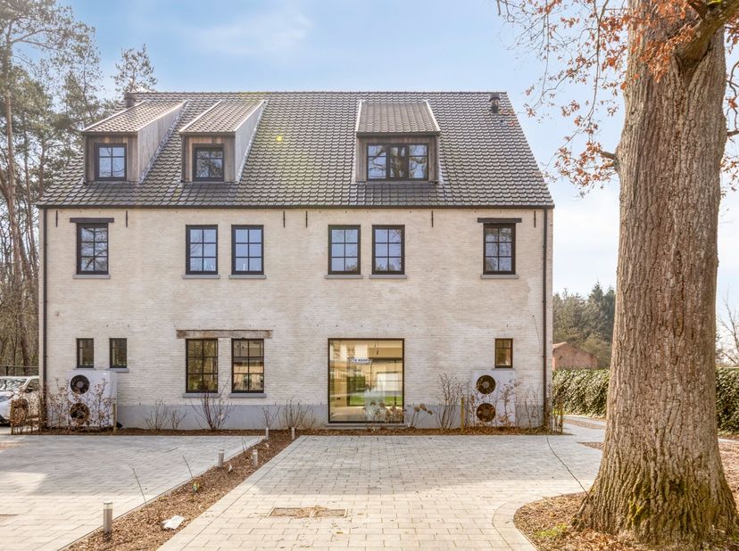 Maison à vendre
                    à 3690 Zutendaal