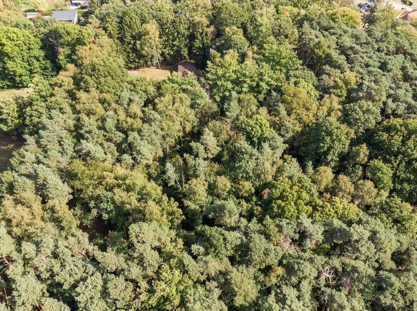 Met een oppervlakte van maar liefst 11376m² geniet je hier van een ongeëvenaarde natuurlijke omgeving. De bestaande gezinswoning is volledig te renove