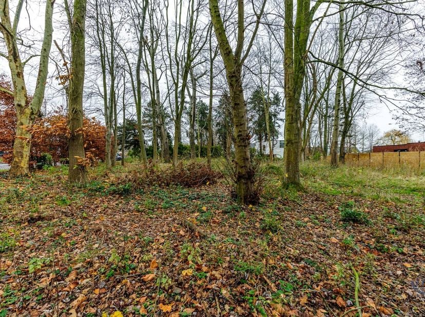 Nabij 't centrum van Dikkelvenne en toch midden in 't groen.<br />
De aanwezige bomen vertellen een sterk verhaal.<br />
Er is een goedgekeurde verkav