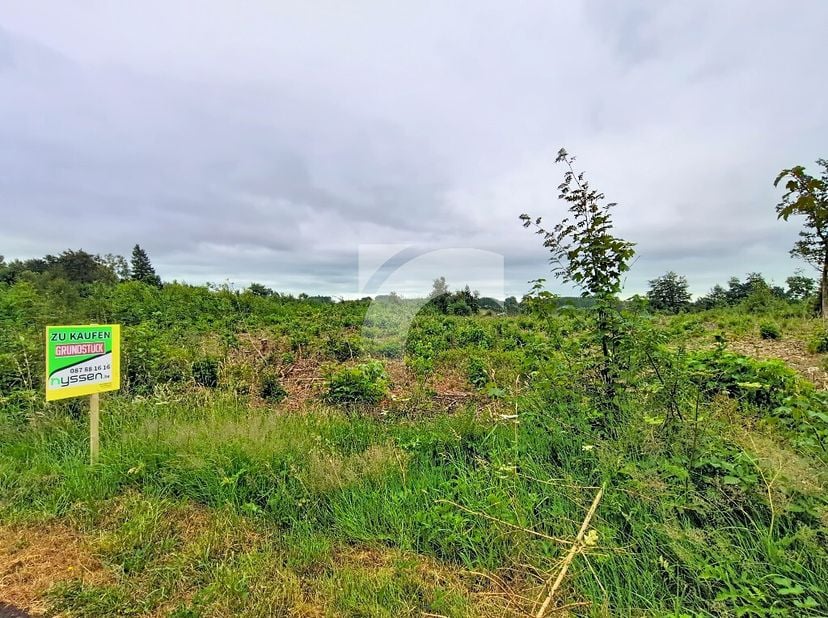 Grond te koop in Griesdeck,
                    4750 Elsenborn