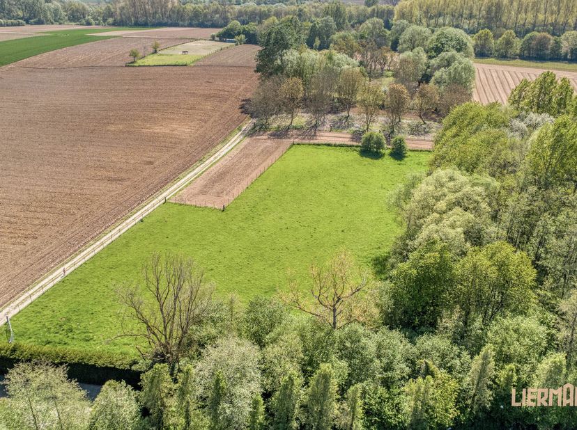 Terrain à vendre à Lebeke 73A,
                    9450 Denderhoutem