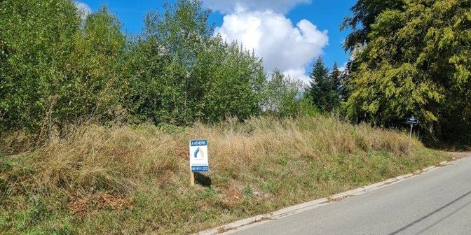 Terrain à vendre à Rue des Vanettes, Warmifontaine 478A, 6840 Neufchâteau