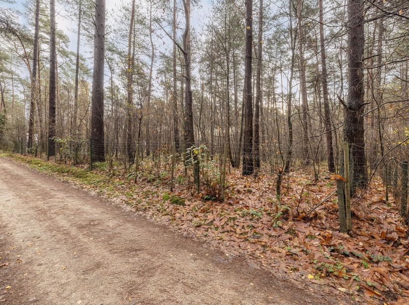 Rustig gelegen, volledig omheinde bosgrond van ca. 2.300 m² te Lichtaart<br />
<br />
Deze mooie bosgrond van circa 2.300 m² is gelegen in een rusti