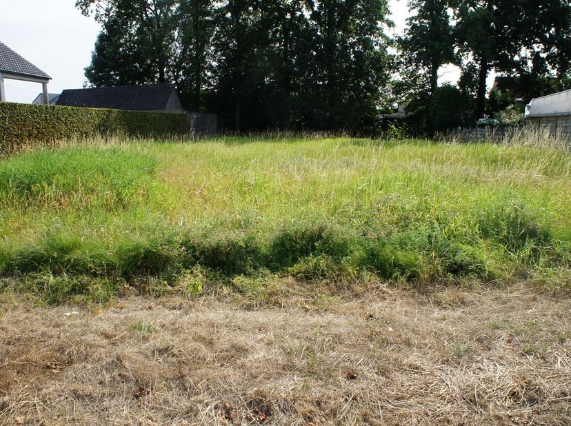 Bouwgrond van 771 m² voor open bebouwing te Oostmalle. <br />
<br />
Deze bouwgrond is geschikt voor het bouwen van een vrijstaande woning. <br />