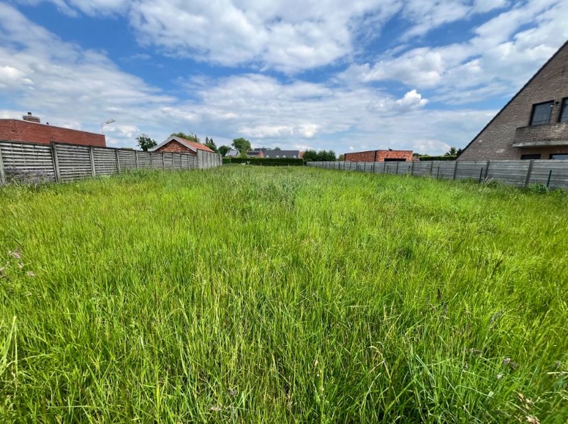 Op een landelijke ligging kan u deze weide met een oppervlakte van 1123m² huren voor het plaatsen van een paardje, pony, schapen,.... en dit voor 150€
