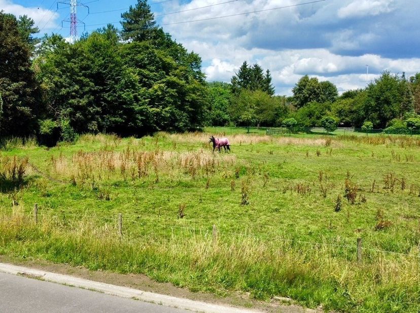 Terrain à vendre
                    à 3511 Kuringen