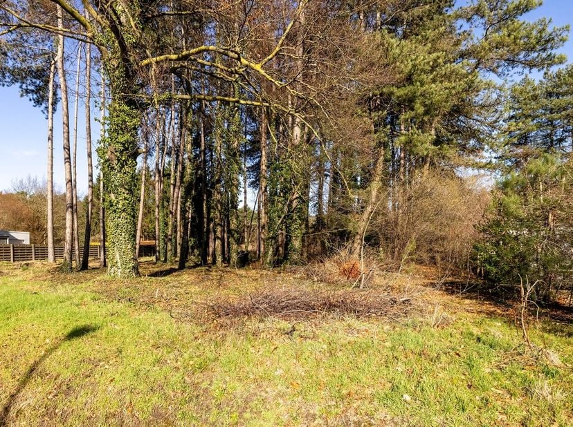 Bouwgrond voor OB op een perceel van 853m²<br />
<br />
Ligging: Gelegen op de verbindingsweg tussen Herentals - Olen - Geel met alle faciliteiten i