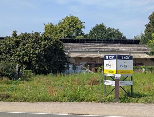                                         Bouwgrond te koop in Bever, € 80.000
