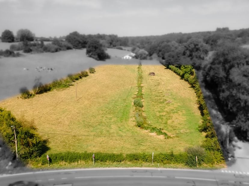 Terrain à vendre à Rue d' Arlon,
                    6760 Virton