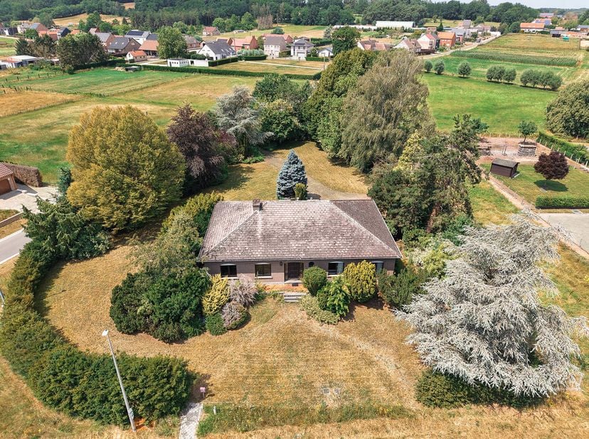 Aan de rustige en groene Molendreef te Rillaar stellen wij deze zeer ruime open bebouwing voor op een perceel van maar liefst 26are. Met een royale be