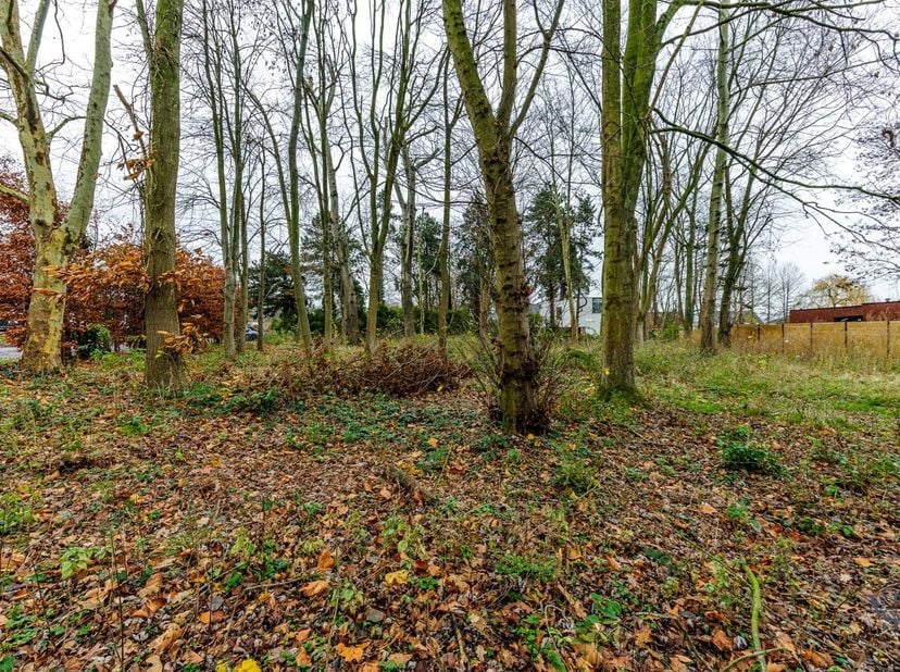 Terrain à vendre à Hofkouterstraat 71 - + boîte B,
                    9890 Dikkelvenne